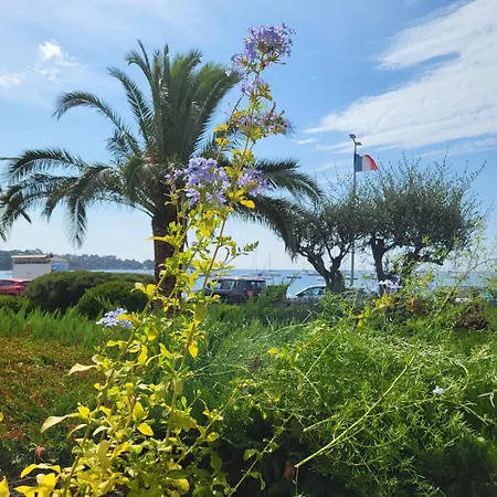 Rare Avec La Plage Au Bout Du Jardin *